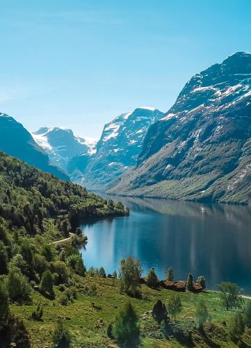 Loenfjord