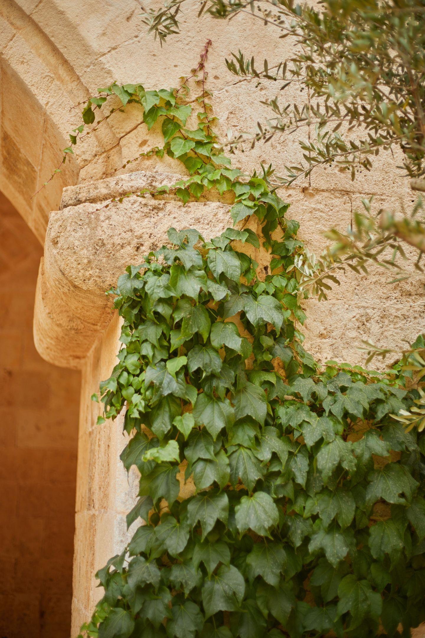 Zoëtry Mallorca Wellness & Spa