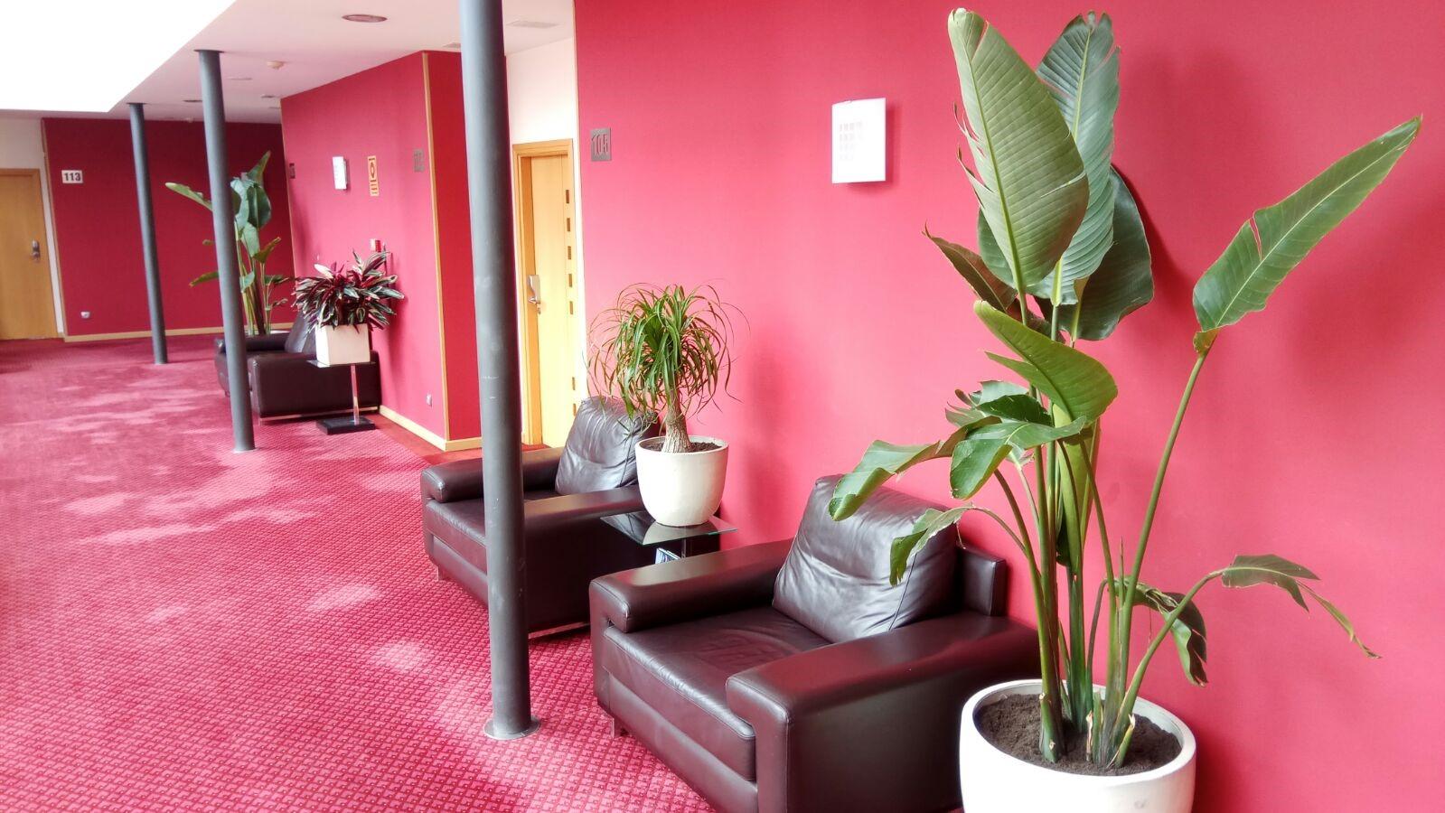 Hotel Peregrina