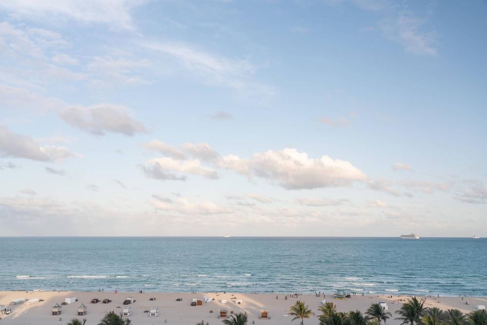 The Ritz-Carlton South Beach