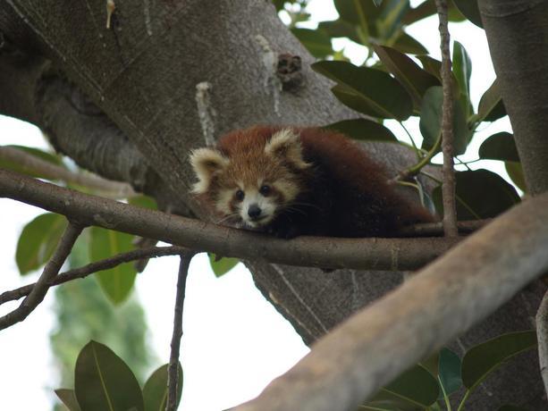 Selwo Aventura Estepona