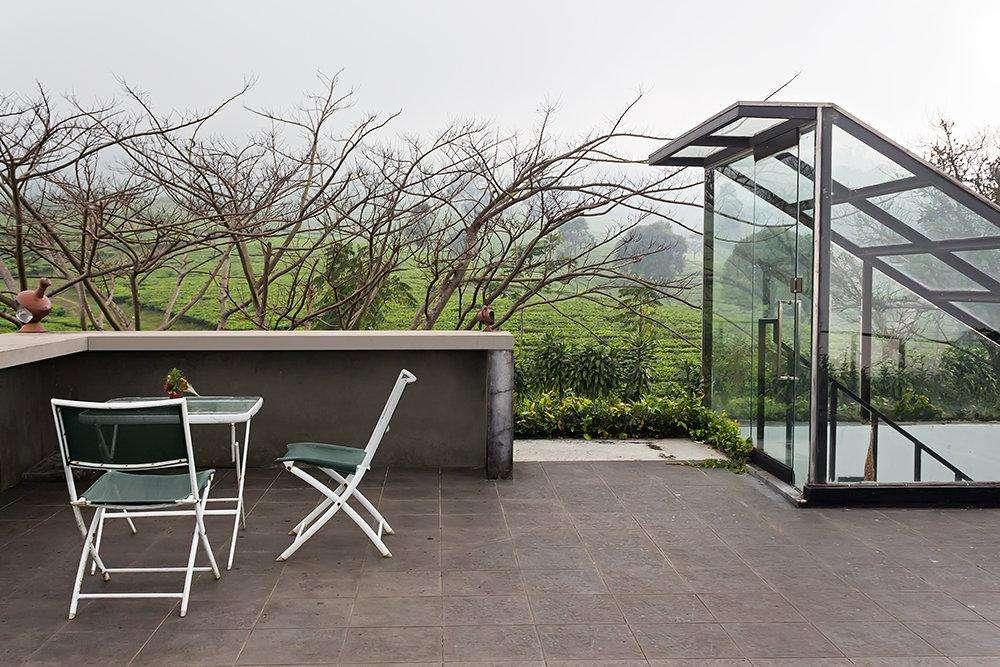 Tea Garden Resort