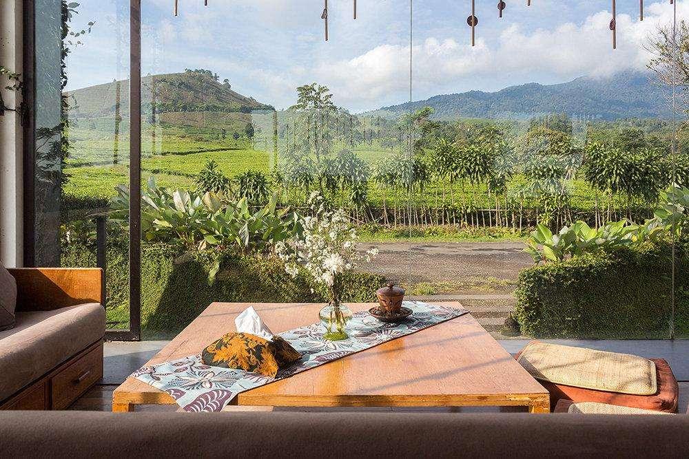 Tea Garden Resort