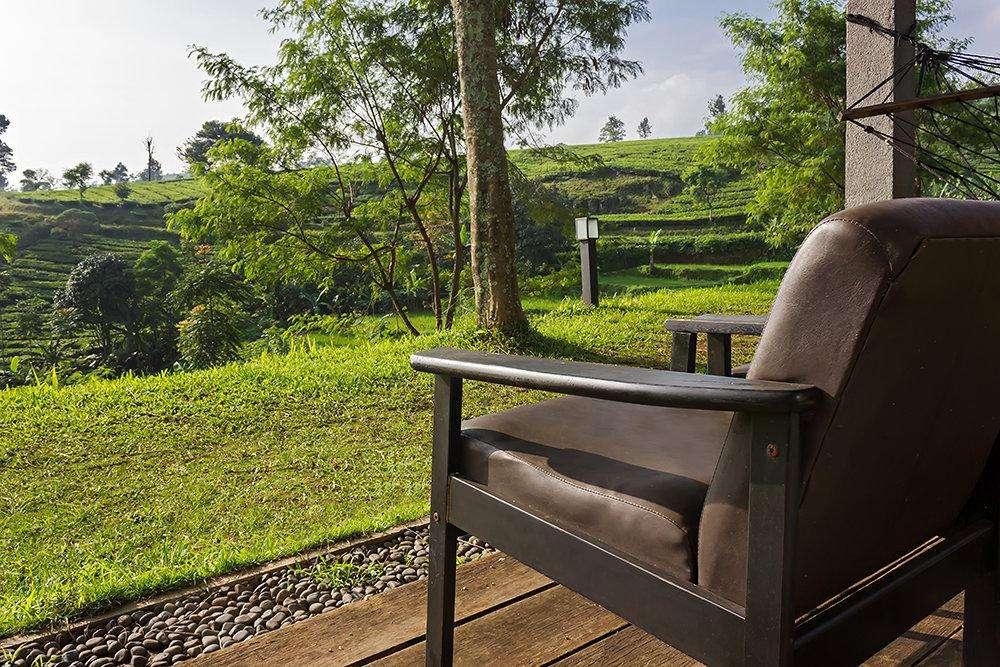 Tea Garden Resort