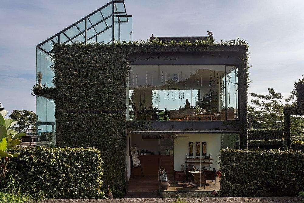 Tea Garden Resort