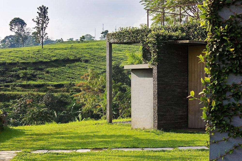 Tea Garden Resort