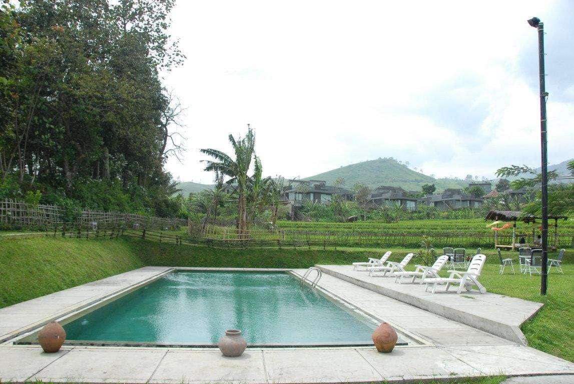 Tea Garden Resort