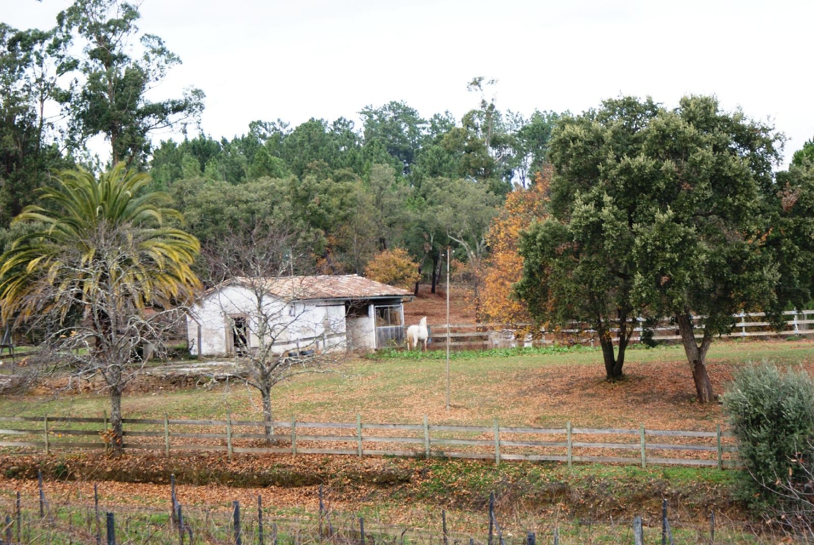 Albergue do Bonjardim