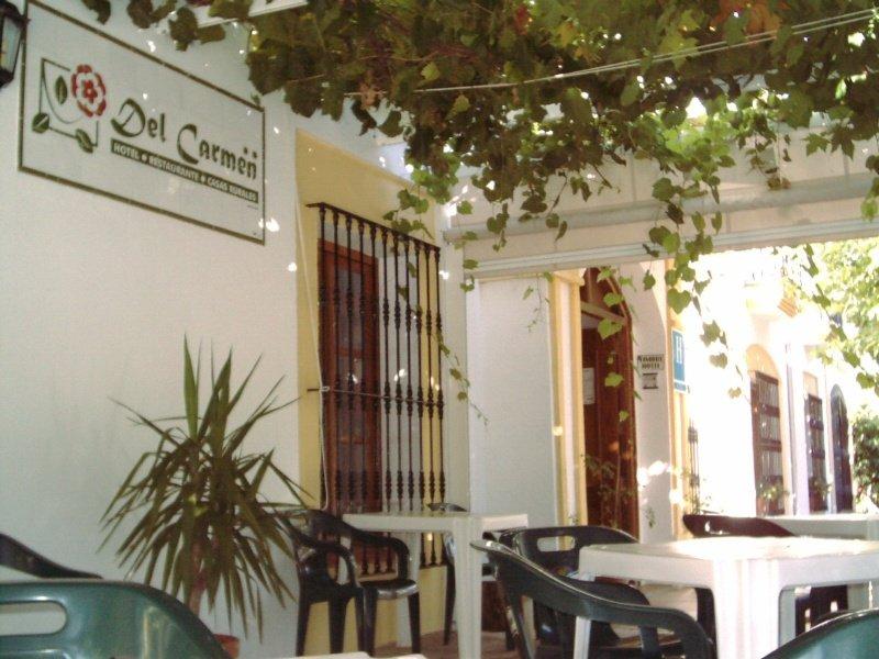 Hotel Del Carmen