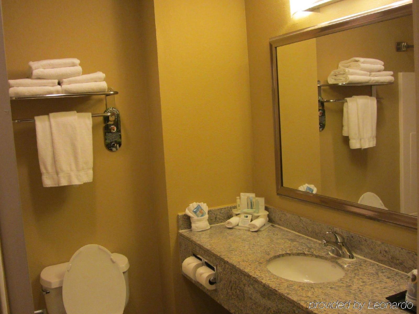 Holiday Inn Express Hotel & Suites Houston-Downtown Convention Center