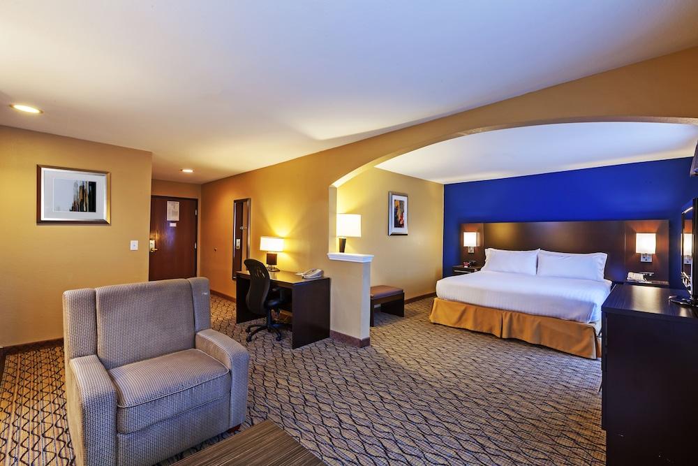 Holiday Inn Express Hotel & Suites Houston-Downtown Convention Center