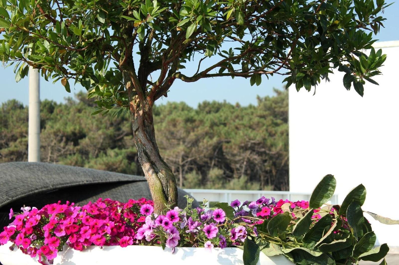 Terme Beach Resort