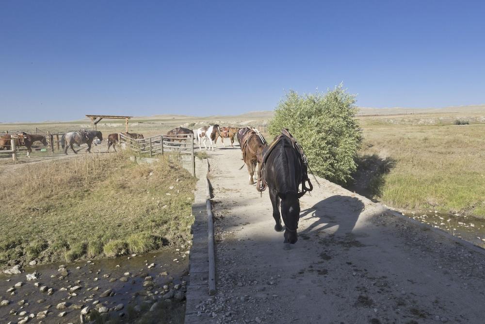 TA Guest Ranch