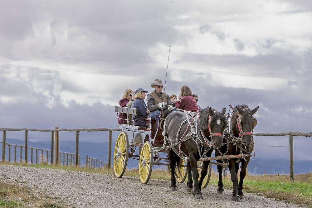 TA Guest Ranch