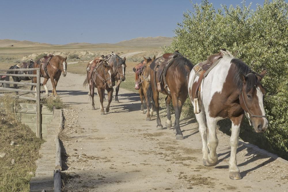 TA Guest Ranch