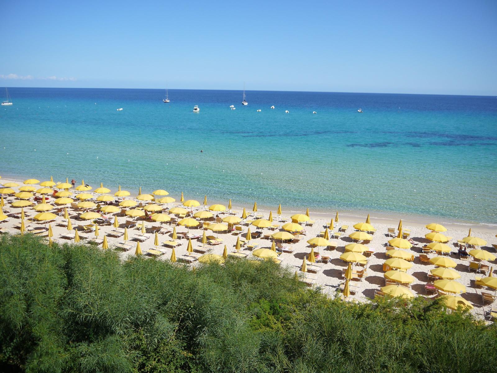 Free Beach Resort