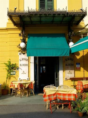 Hotel Olivedo