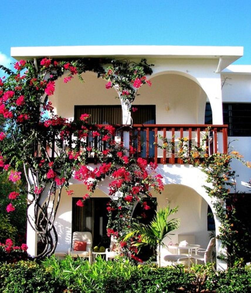 Carimar Beach Club