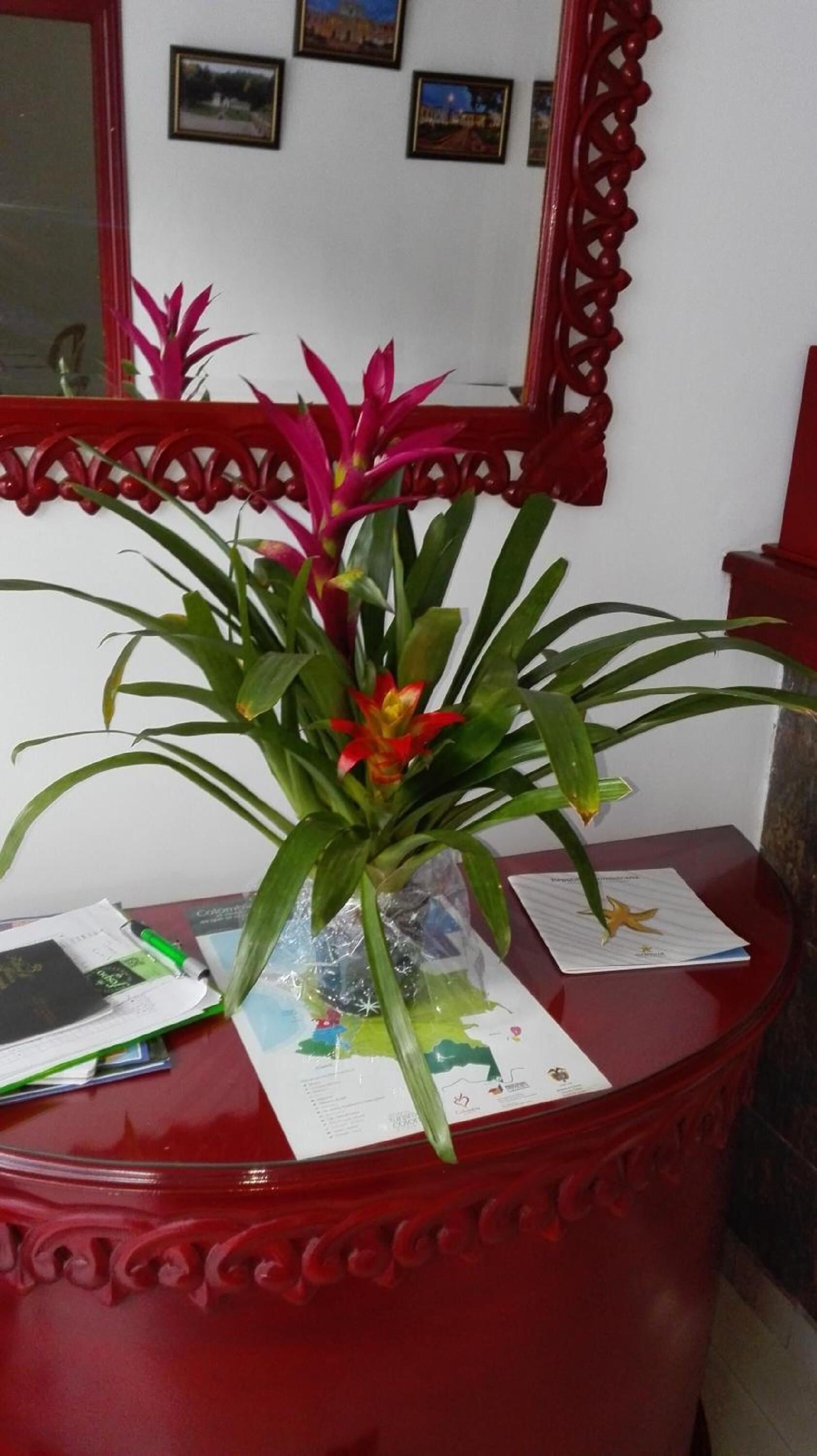 Hotel Popayan Plaza