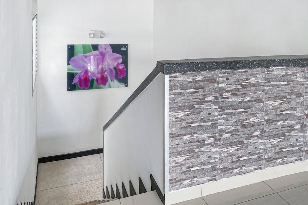 Hotel Suite Center Platino