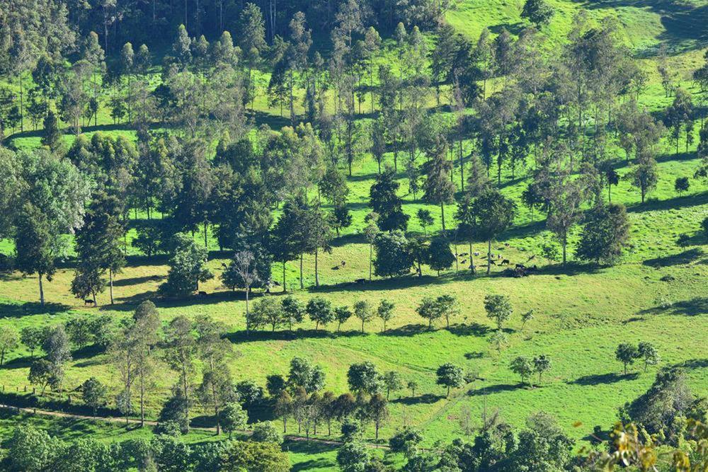 Hotel Boutique El Mirador Del Cocora