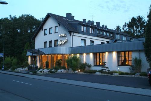 Spiegel
