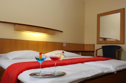 Krona Hotel - Domzale