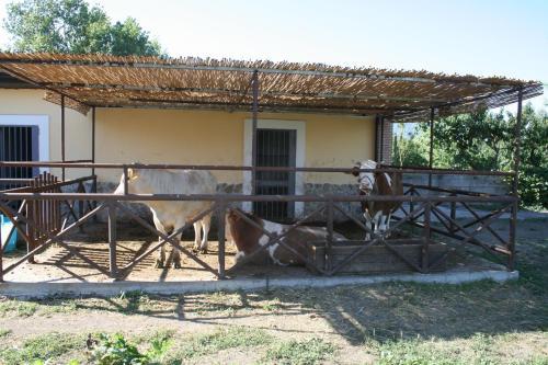 Agriturismo Vivinatura