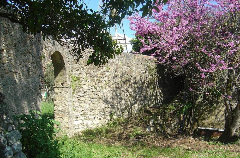Quinta Do Scoto