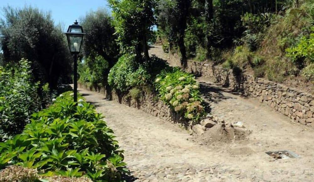 Quinta Das Escomoeiras