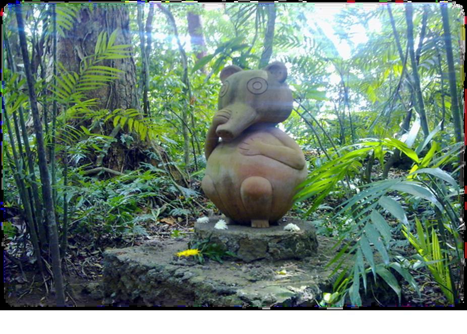 Nanciyaga Reserva Ecologica