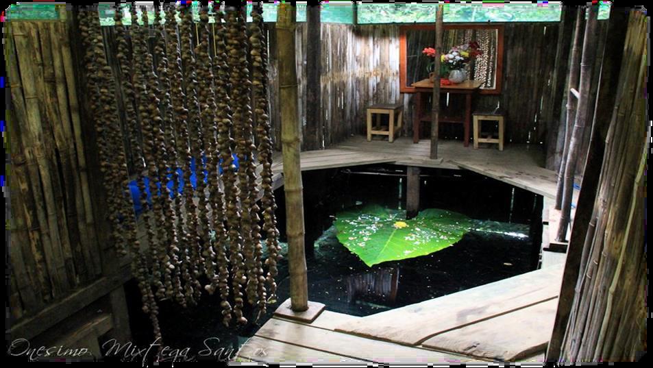 Nanciyaga Reserva Ecologica