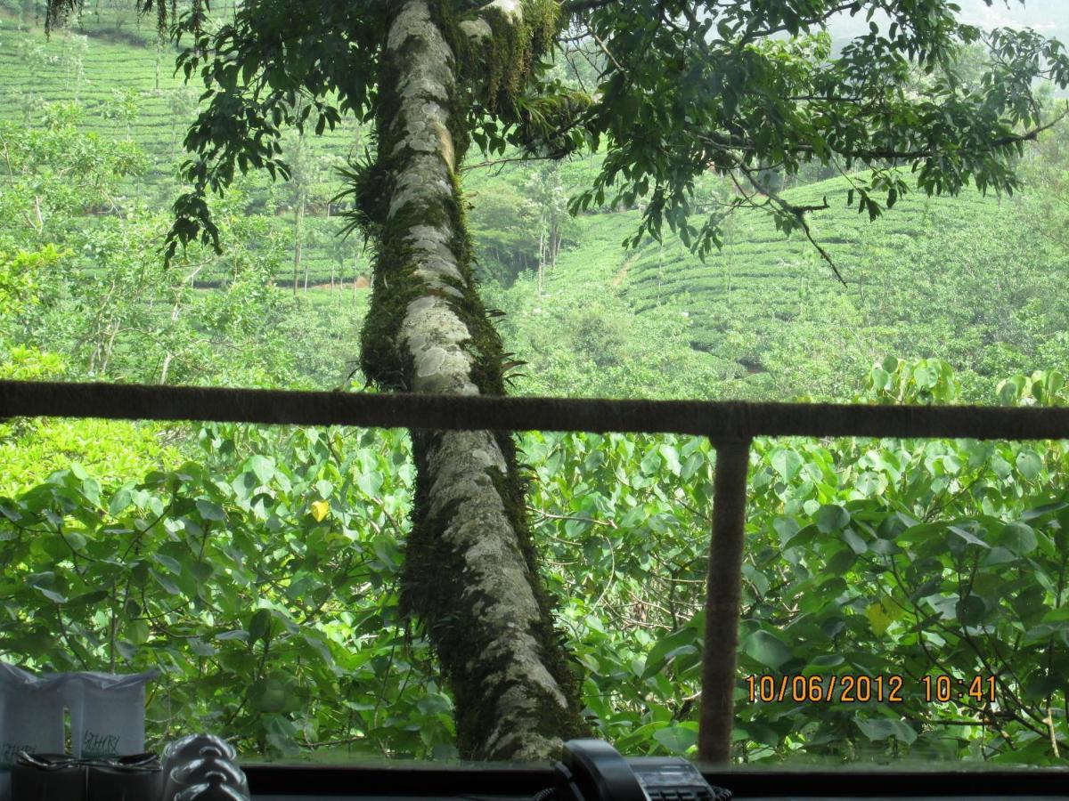 Vythiri Resort