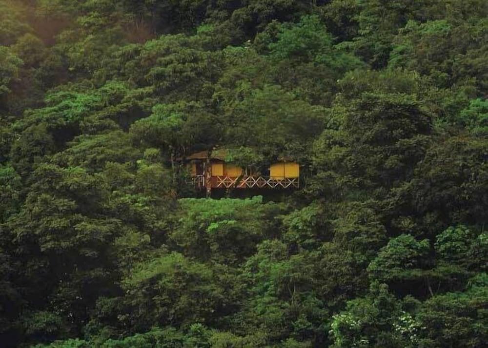 Vythiri Resort