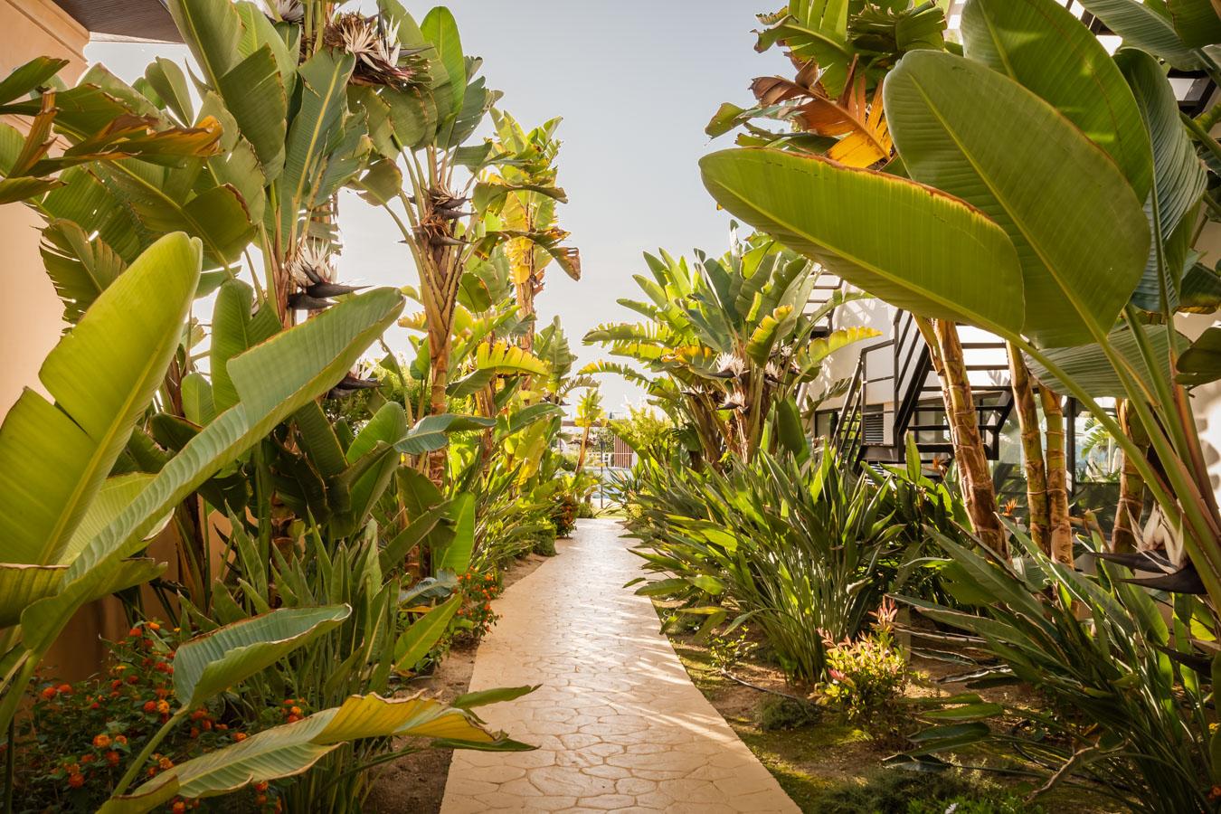 Alegría Palacio Mojacar
