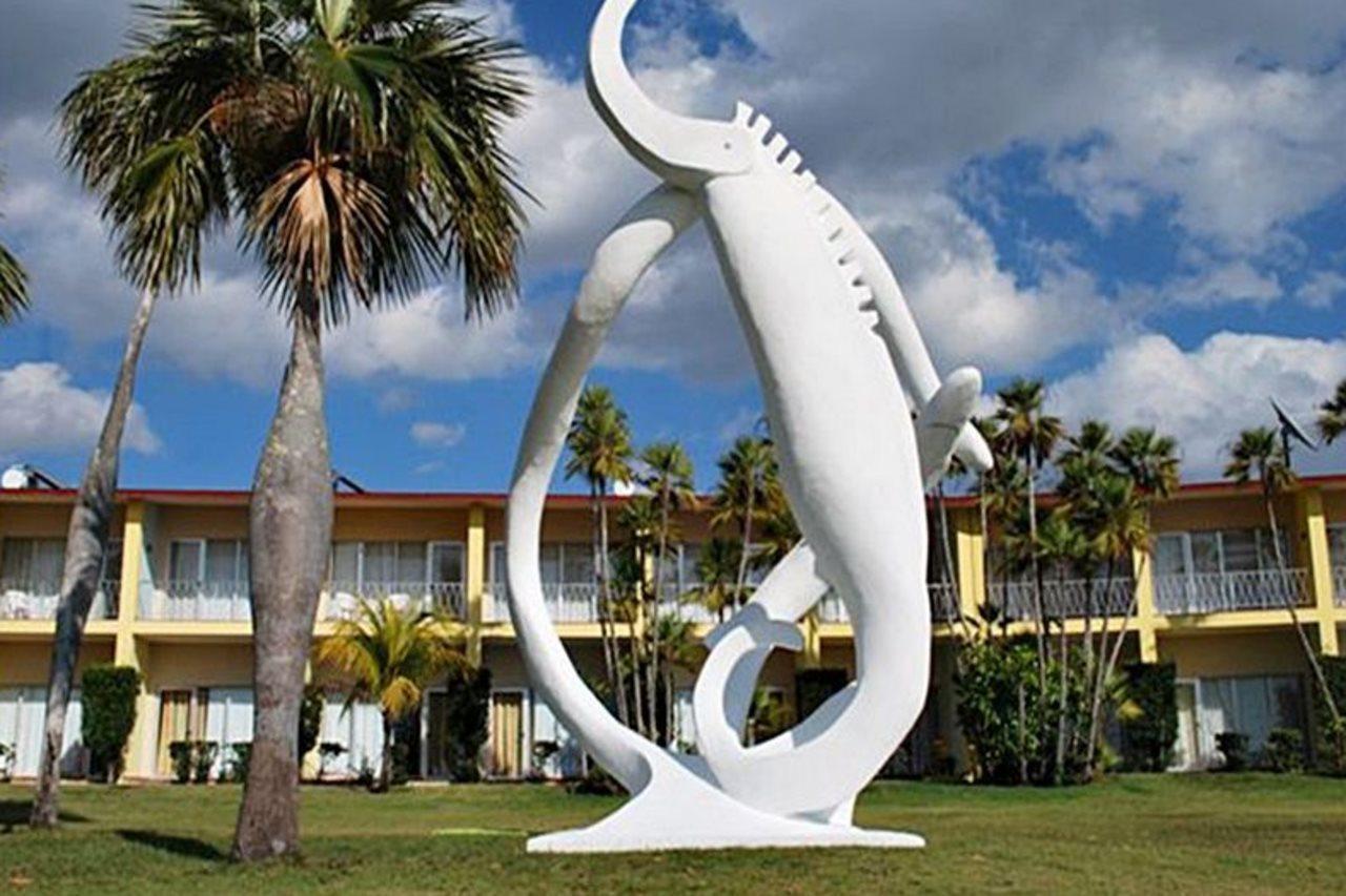 Hotel El Colony