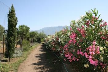 Agriturismo Vivinatura