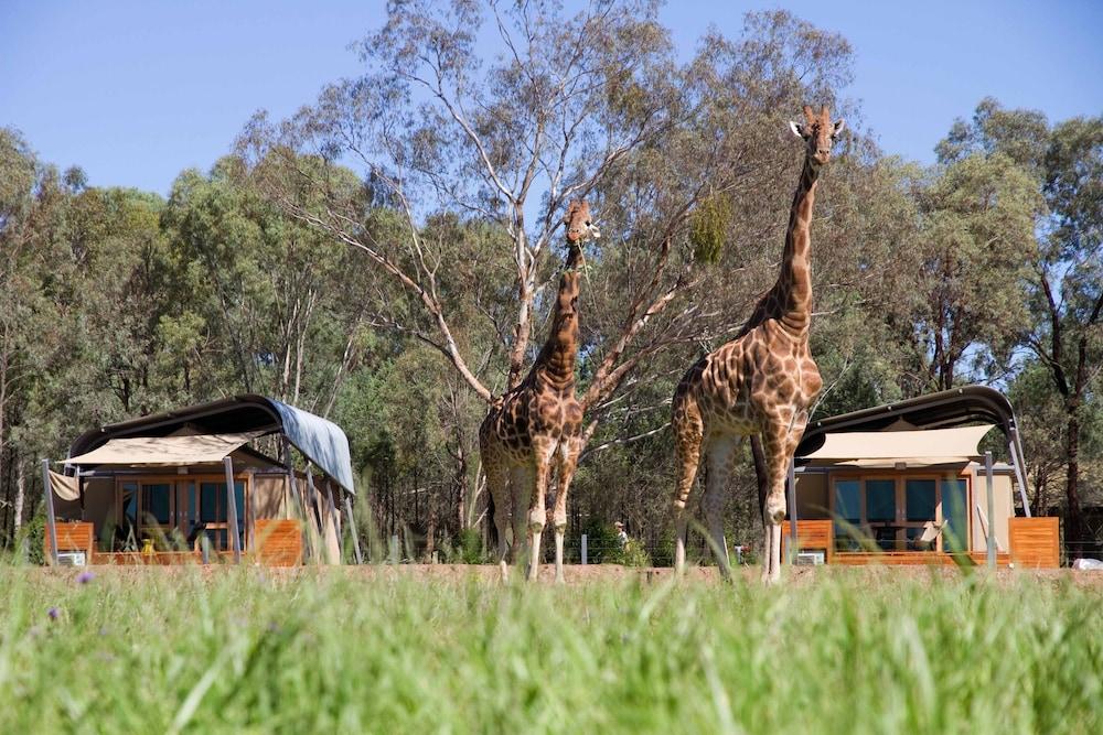 Zoofari Lodge, Taronga Western Plains Zoo