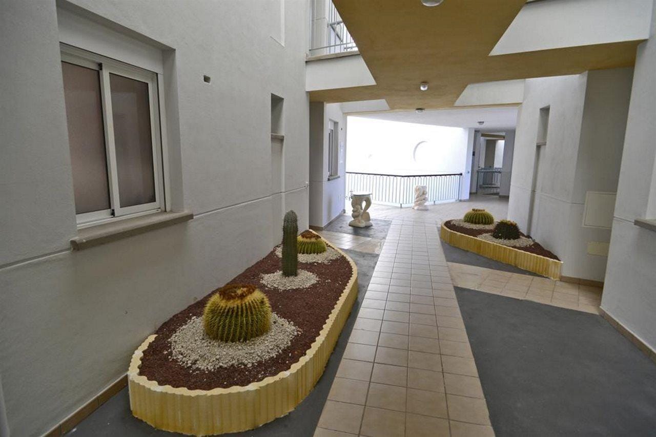 Arena Suites