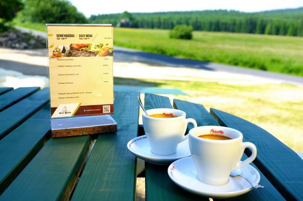 Hotel Jizerka 4