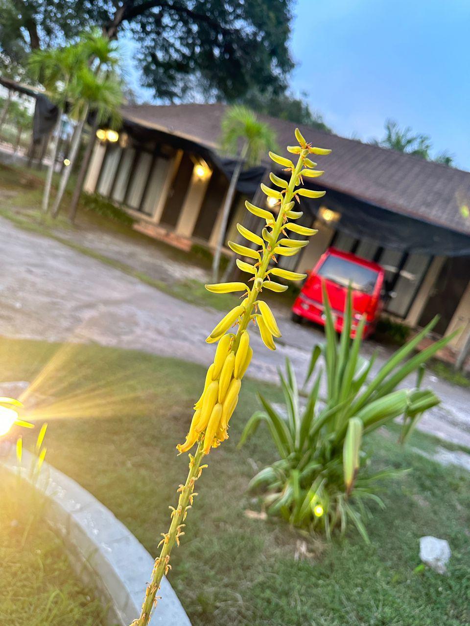 iGarden Hotel