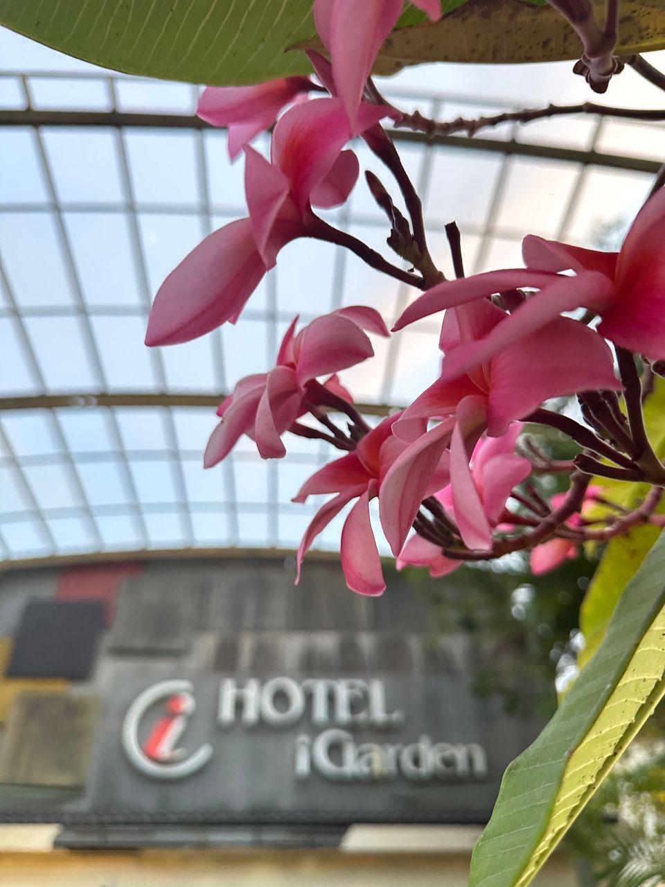 iGarden Hotel