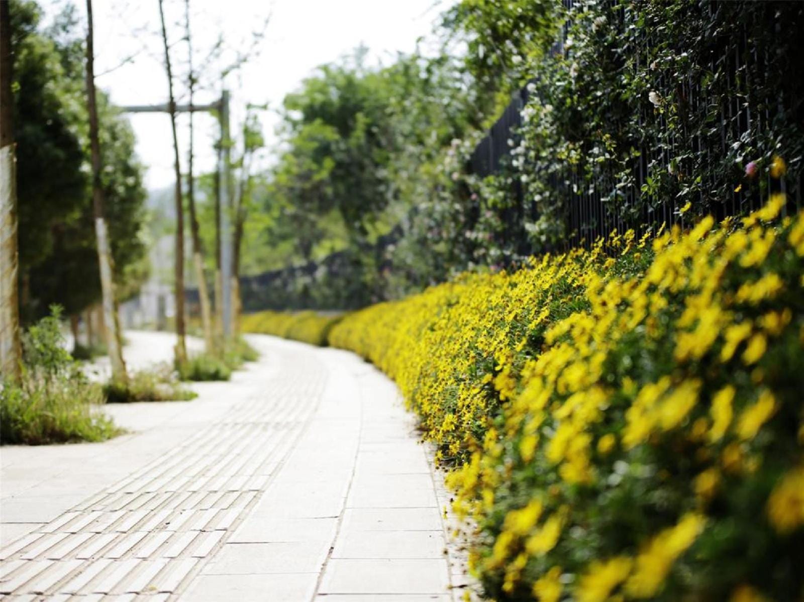 Howard Johnson City Of Flower Hotel Kunming