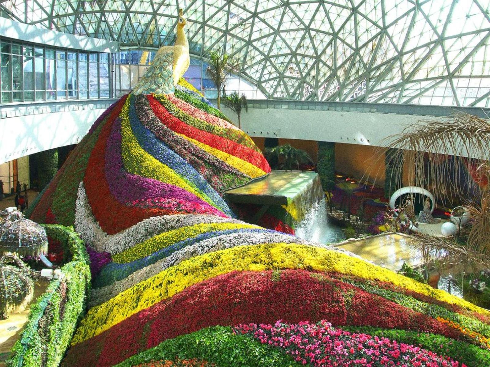 Howard Johnson City Of Flower Hotel Kunming