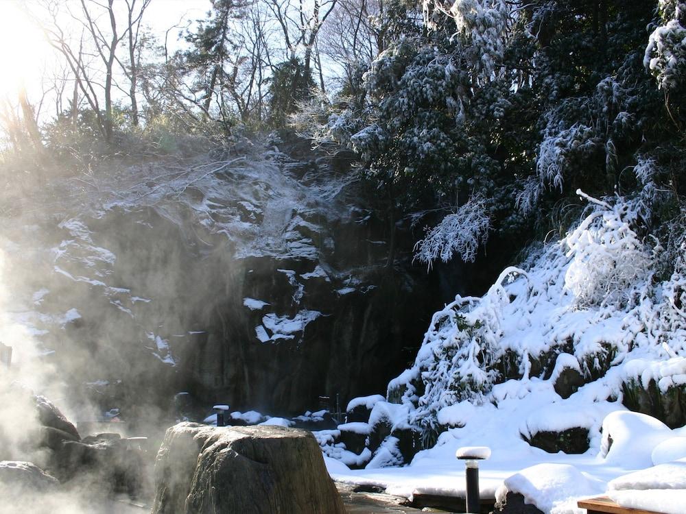 Shinrin-Koen Heritage Resort