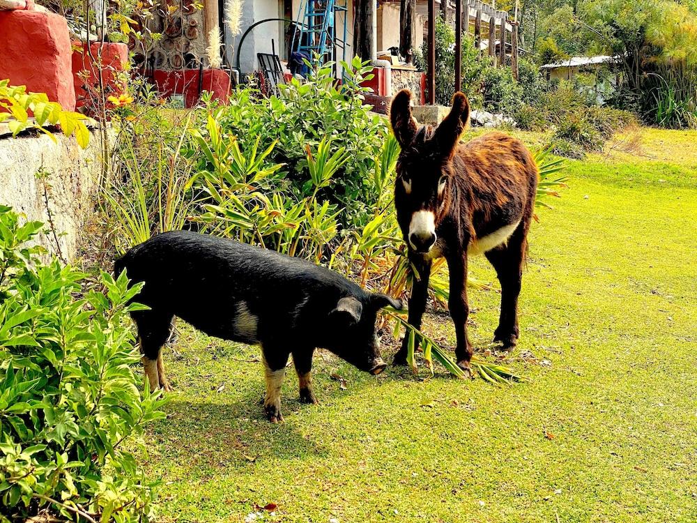 Rancho El Reencuentro