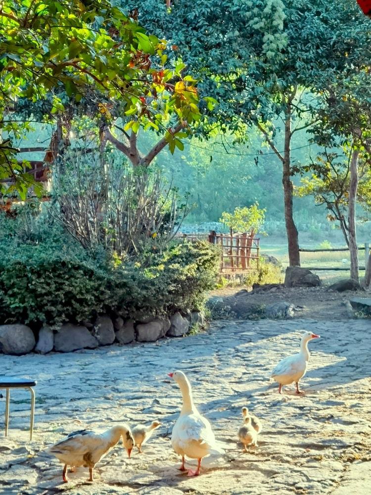 Rancho El Reencuentro