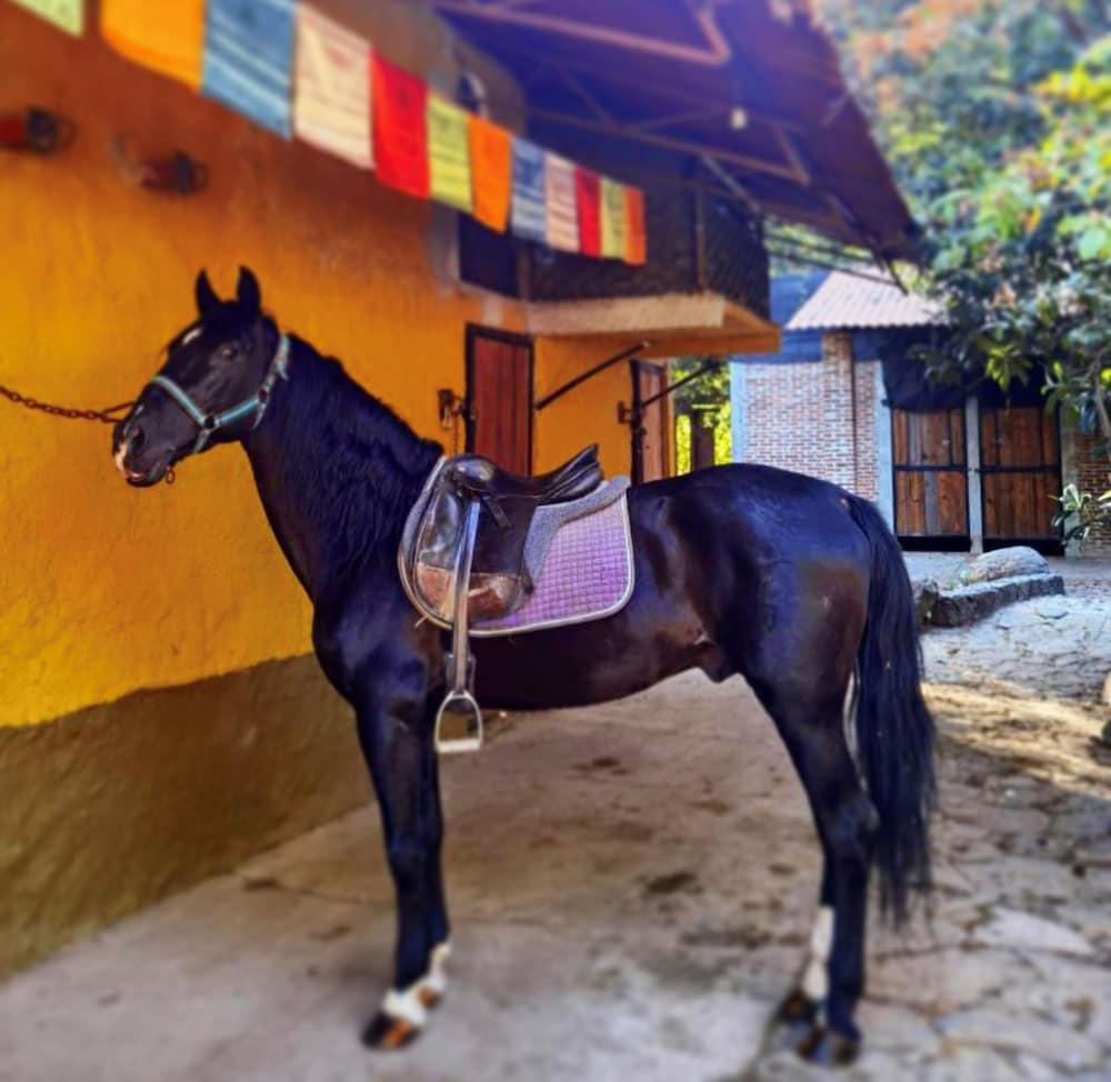 Rancho El Reencuentro