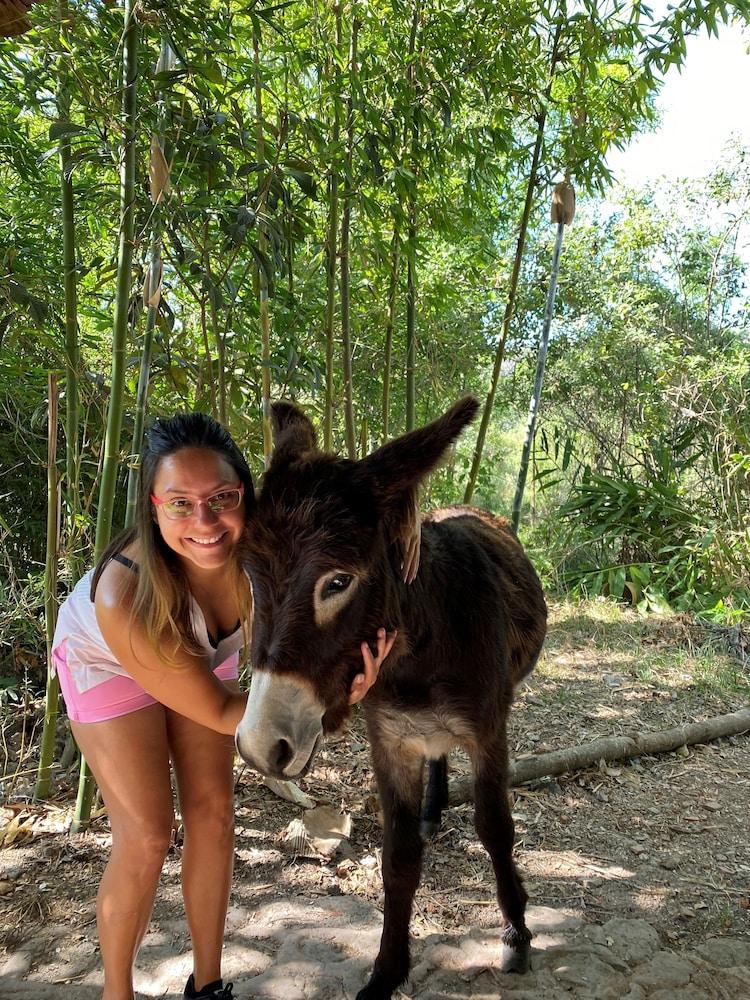 Rancho El Reencuentro