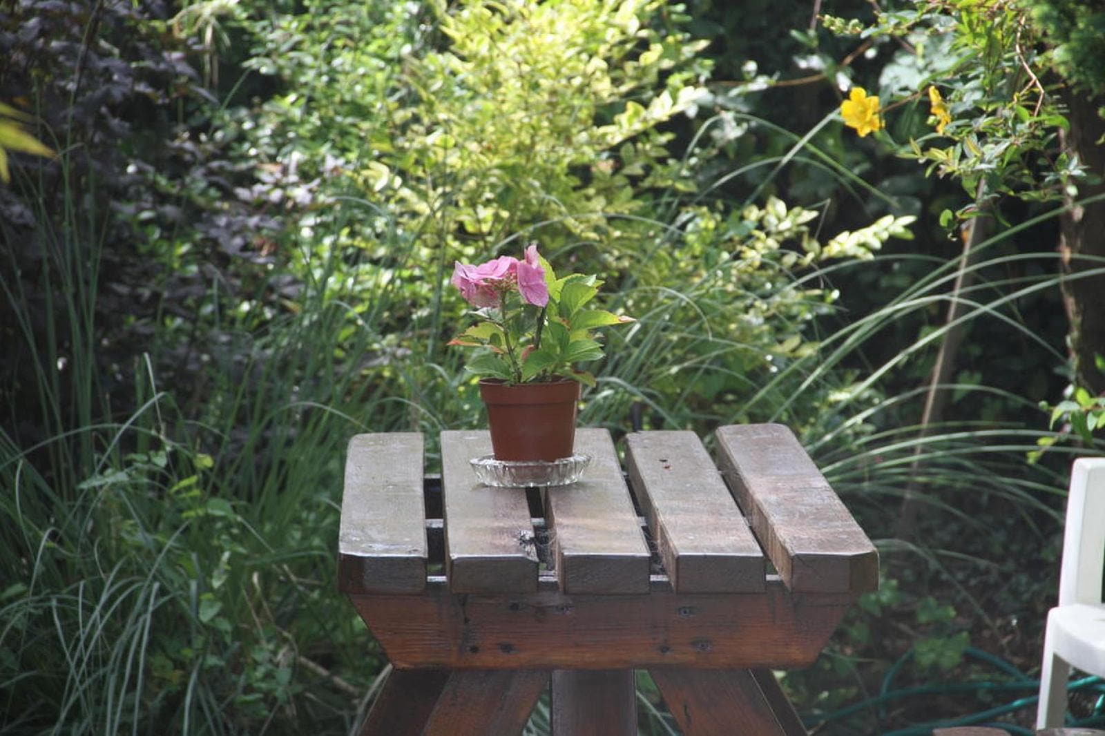Marguerites B&B